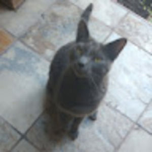 Meet your Posher, Denise